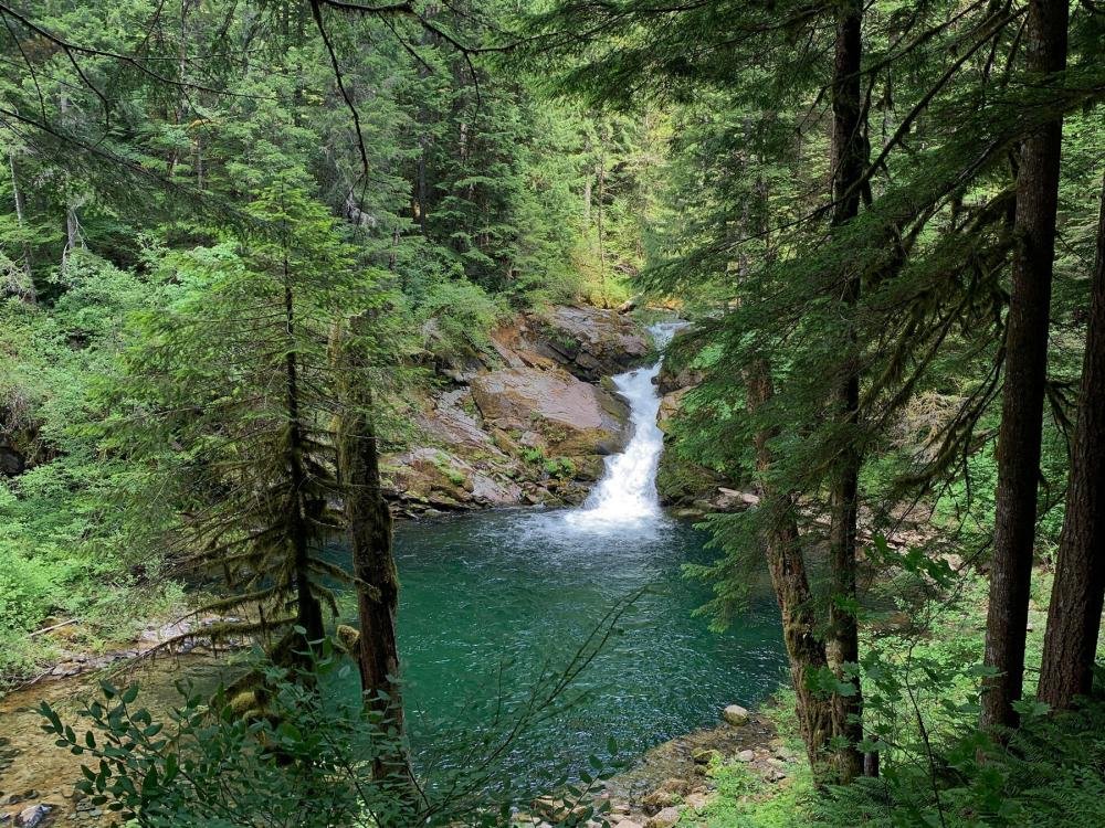 wa giffordpinchot fs usfs flickr 200705 01